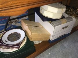 Collector plate collection