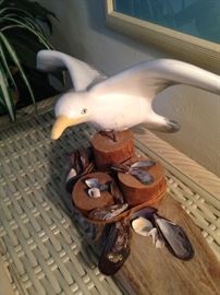 Seagull with a variety of shells