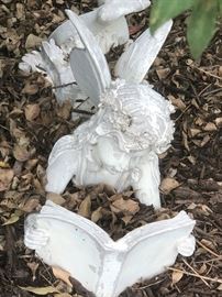 Little angel reading.