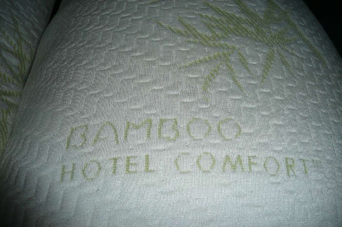 2 Bamboo pillows, never used with cases