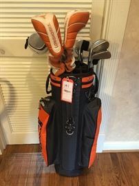 Lot 141: Set of Golf Clubs w/Bag