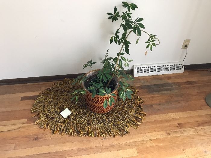 Numerous houseplants and small and large area rugs. 