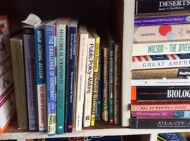 Books, books, and more books