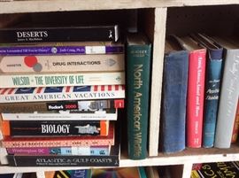 Books, books, and more books