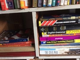 Books, books, and more books