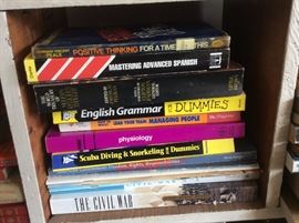 Books, books and more books