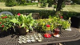 Flowers, succulents, out door candles, bird houses,  bird feeders 