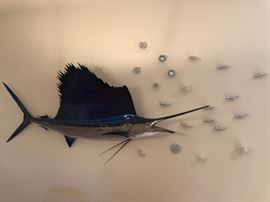 7 ft sailfish mount personally caught by our client