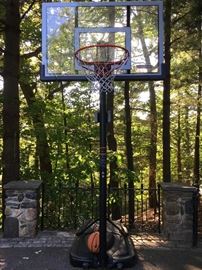 Lifetime Basketball Hoop, #happyhunting! 