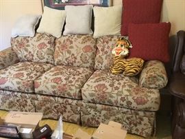Sofa and throw pillows