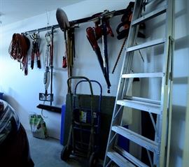 Lawn tools and ladder