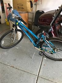 Schwinn Bike