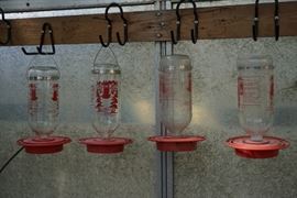 Bird feeders