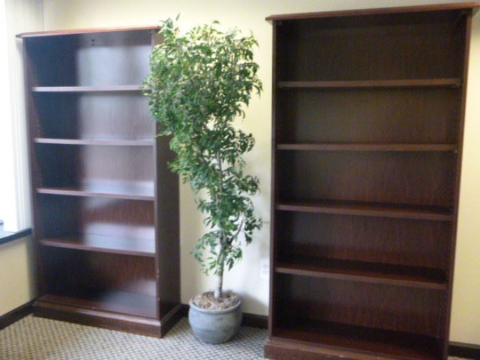 Rm 1 - Cherry Wood Bookcases 6' x 3' x 12"; Decorative Artificial Plant 