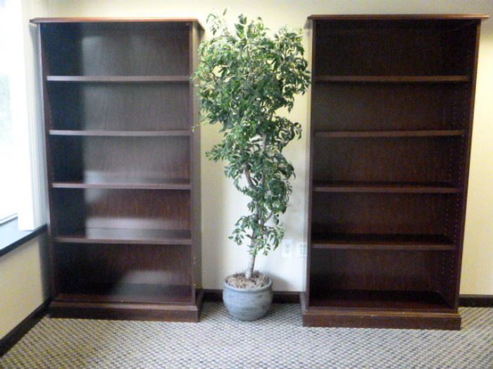 Rm 1 - Bookcases & Plant