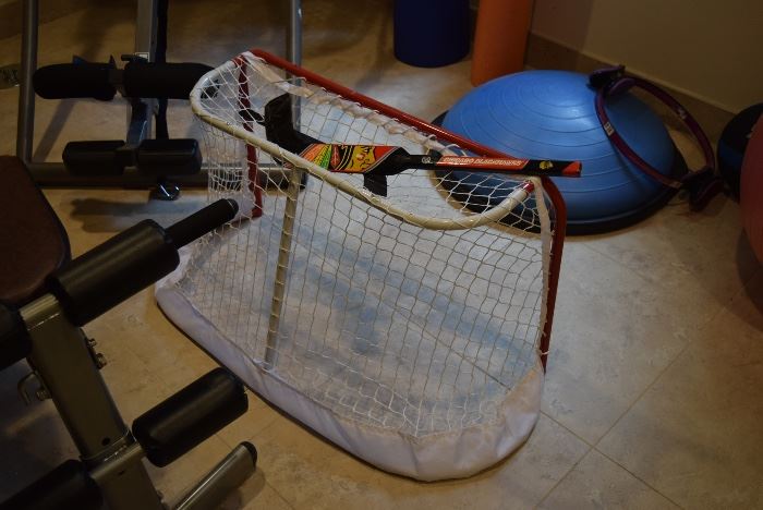 Hockey Net & Stick
