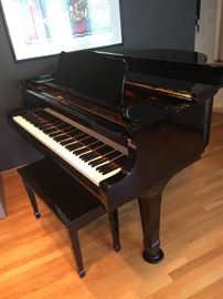 Chang Baby Grand Piano 