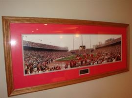 O-H-I-O Panoramic Framed Picture