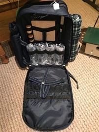 New! Picnic Backback