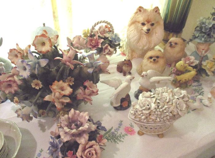 Pomeranians