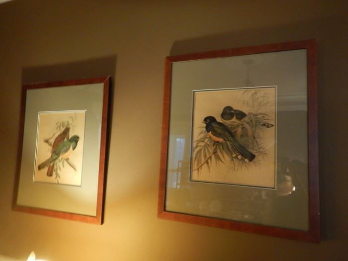 FRAMED PRINTS