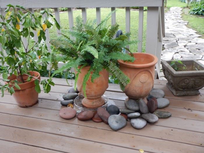 POTS AND PLANTS