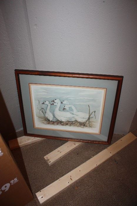 5 white snow geese print, nice condition and signed.