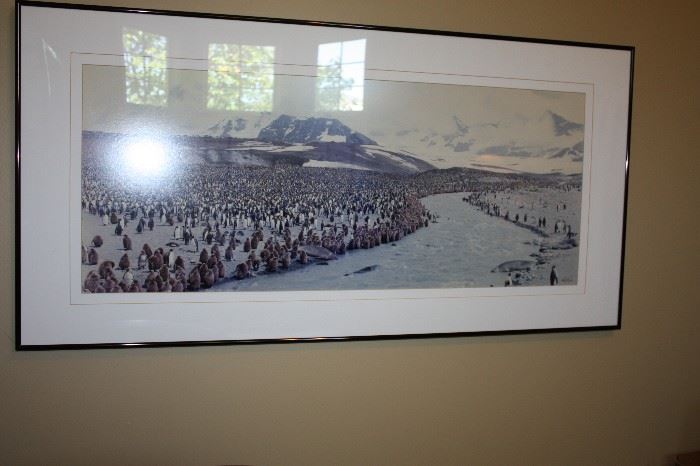 Great fun print, march of the penguins. Note: It's located in the laundry room.