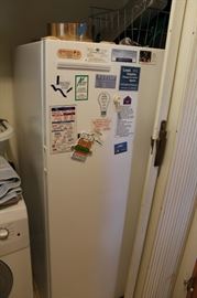 appliance freezer