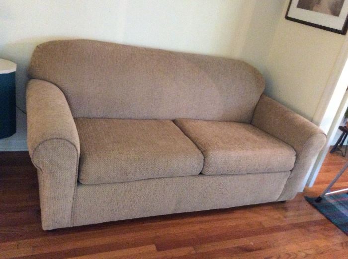 Sofa sleeper -Like new 