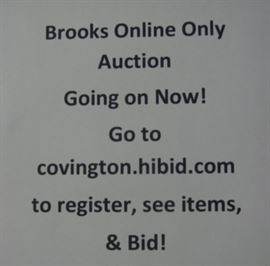 175 Lots To View on the Hibid Auction Site!