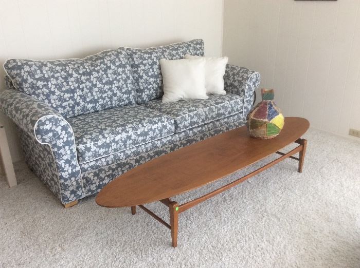 Sleeper sofa, surfboard coffee table