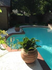 Clay pots and plants