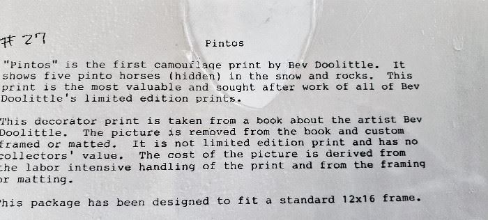 description of PINTOS