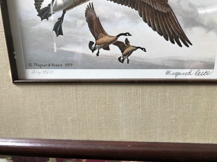 Maynard Reece 1983 signed print, "Coasting Down - Canada Geese"