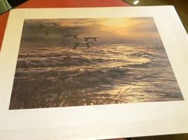 Limited Edition Wildlife Prints