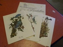 Large Vintage Audubon Prints 
