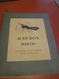 Large Folio Audubon Bird Prints 