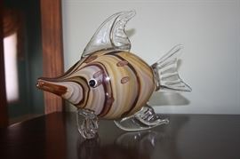 GLASS FISH