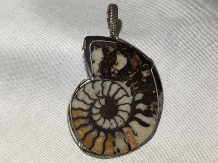 Petrified Seashell Pendant Set in Silver Wire     http://www.ctonlineauctions.com/detail.asp?id=748147