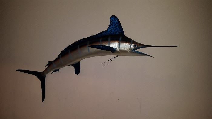 Blue marlin mount