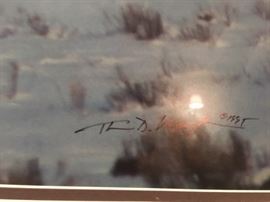 Below Zero-Bison (30 x 50) by Thomas Mangelsen.