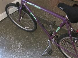 Fuji Outland, 2 of 2.