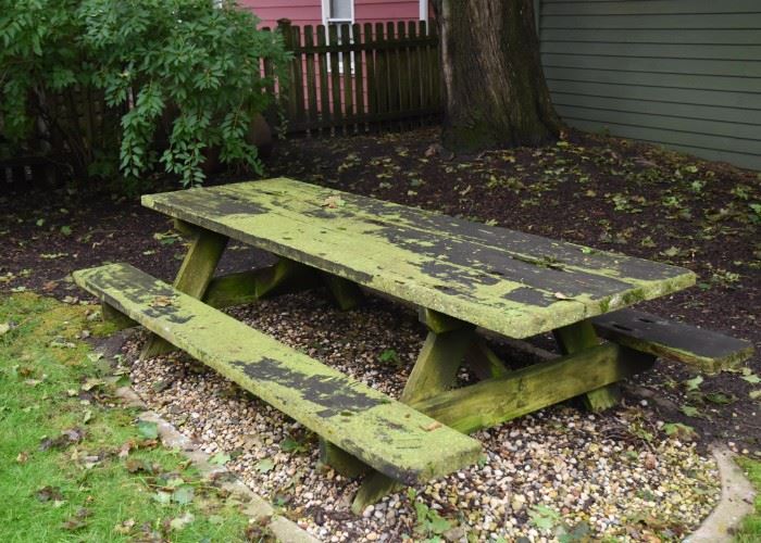 Mossy Picnic Table