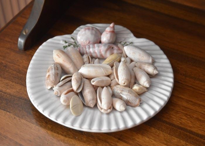 Seashells Plate