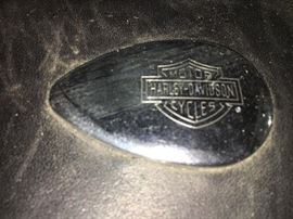 Harley Davidson saddlebag. Sadly, only one.