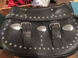 Harley Davidson saddlebag. Sadly, only one.