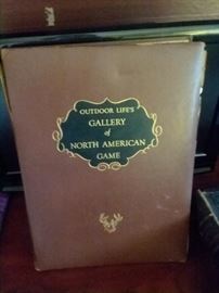 Antique leather bound Gallery of North American Game - beautiful illustrations and text.