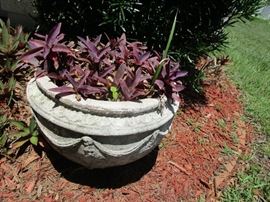 concrete planter