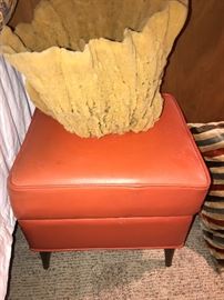 Mid Century Modern stool with storage and a large sea sponge.